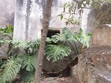 (86) Complesso Monastico - Giardino dei Novizi.jpg
